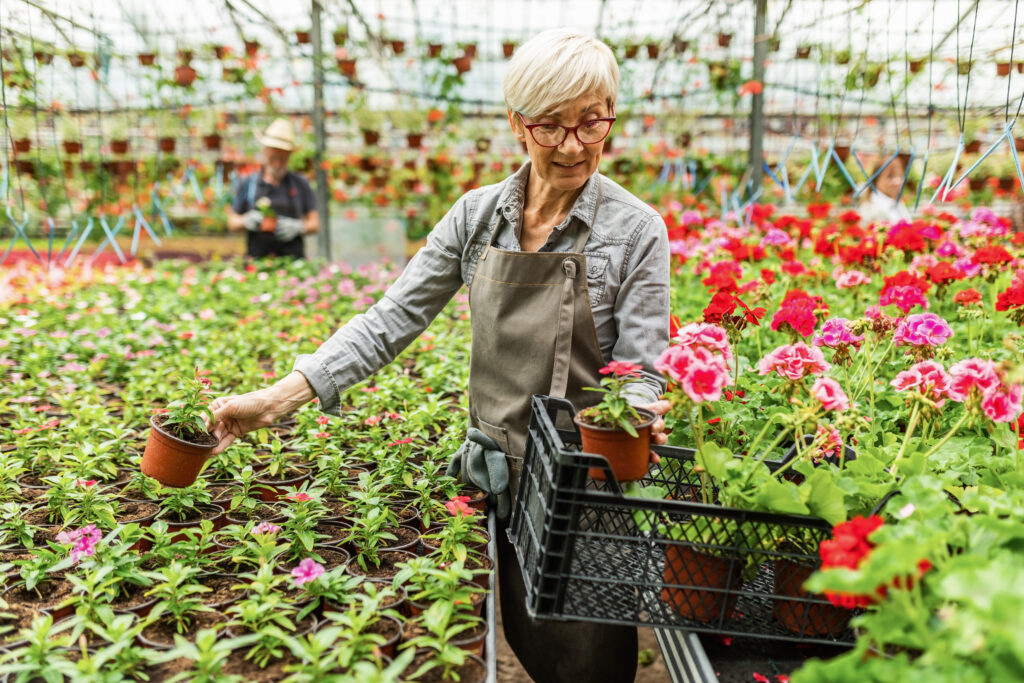 Jardineria como laborterapia en personas mayores