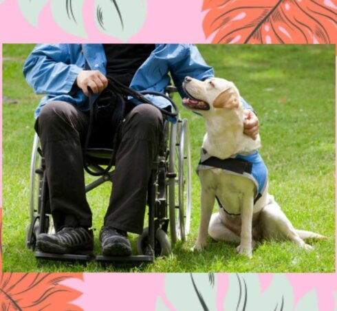 Terapia con animales